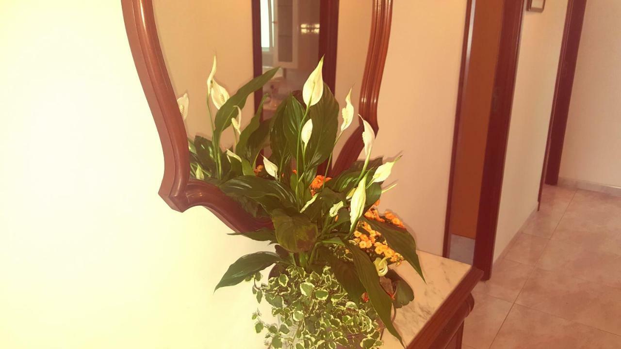 Apartamento A Canteira 오그로브 외부 사진